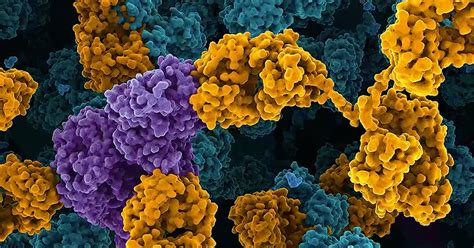 generate biomedicines crunchbase|Generate:Biomedicines .